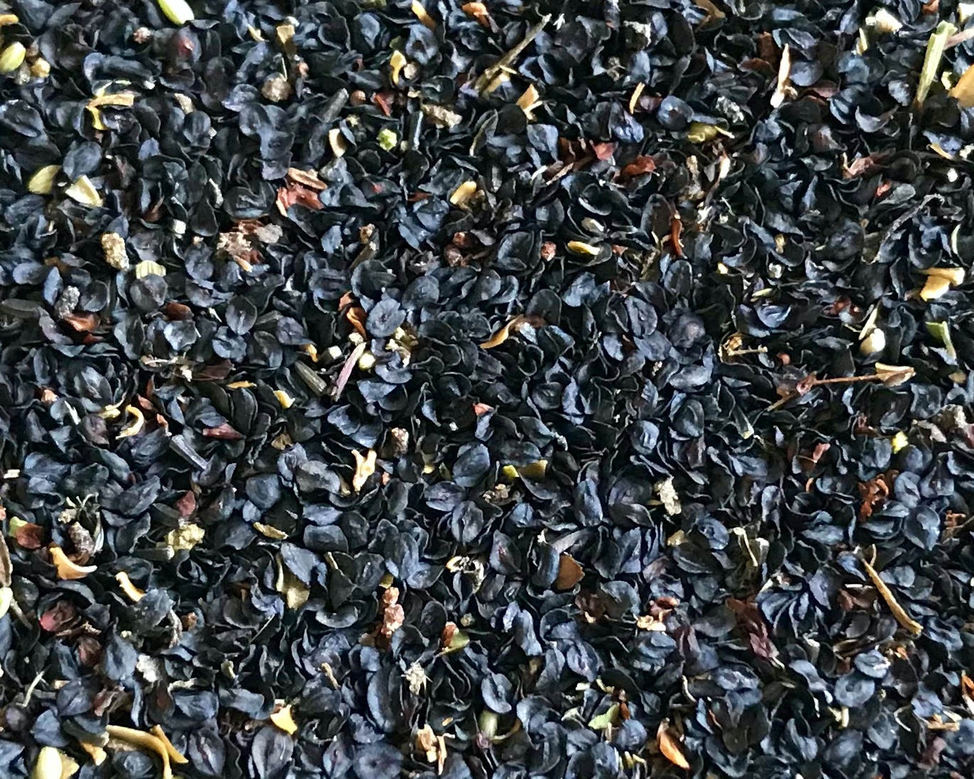 Zaden - Dianthus superbus - Prachtanjer